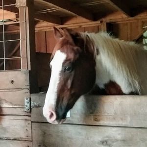 Meet your Posher, Judy